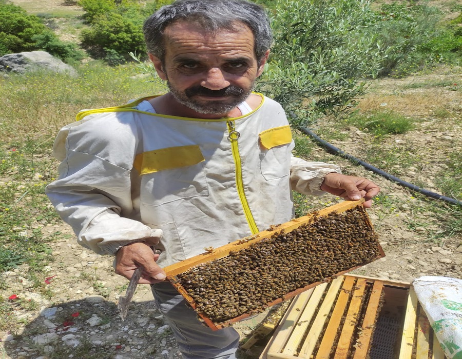 Arıcılık Sektörü - Karaman kapak fotoğrafı